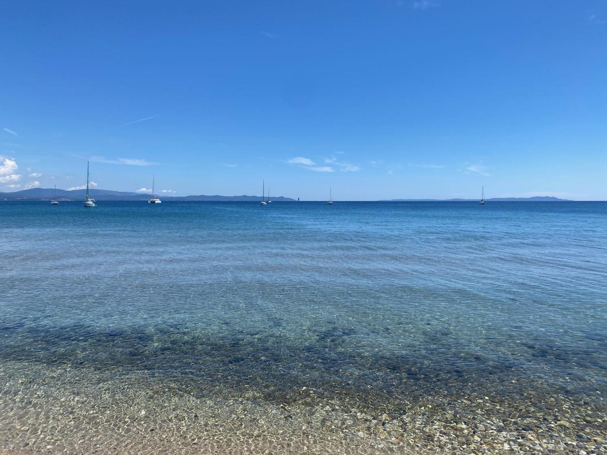 Appartement Les Cigales Rez De Jardin A 10Mn Des Plus Belles Plages Hyeres Ngoại thất bức ảnh